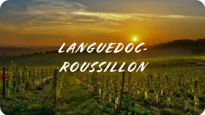 Campings languedoc-roussillon : location de mobil-home