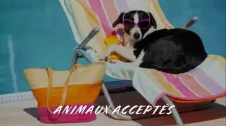 Campings avec animaux acceptés : location de mobil-home