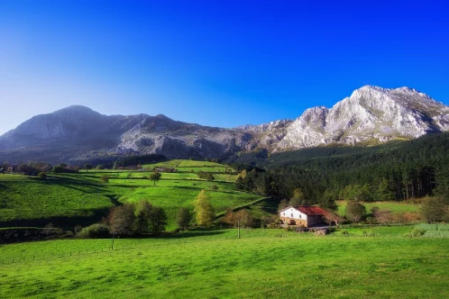 Bordelais ? Partez à la (re)découverte des Landes ou du Pays basque !