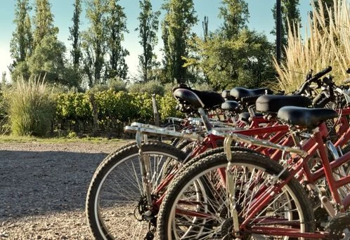 Sur les routes du Périgord à vélo