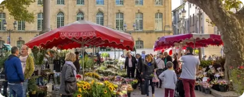 Une immersion dans les villes emblématiques et insolites de la région