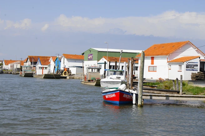 Cabanes ostréicoles colorées et barques amarrées au port d’Arvert - Zecamping