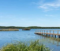Ponton en bois sur le lac d’Aureilhan entouré de roseaux et de forêts - Zecamping