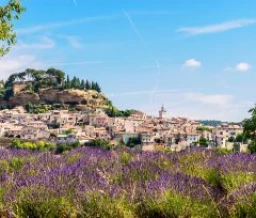 Ze-camping: Cavaillon