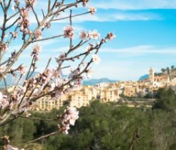 Ze-camping: Costa Blanca