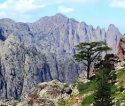 Ze-camping: Haute Corse
