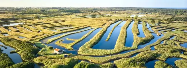 Ze-camping: L'Île d'Olonne