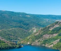 Ze-camping: Lozère