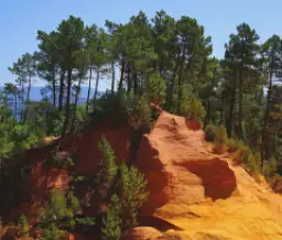 Provence Alpes Côte d'Azur