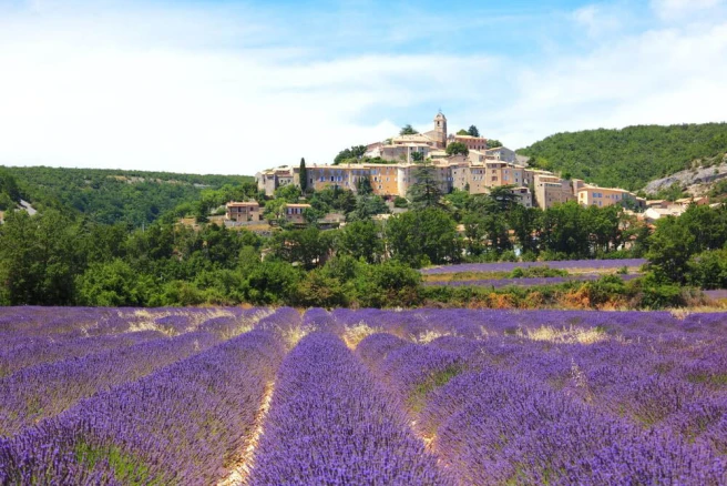 Ze-camping: Provence