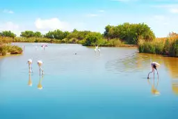 Ze-camping: Saint Nazaire