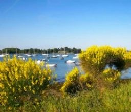 Ze-camping: Saint Philibert