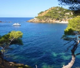Ze-camping: Six Fours les Plages
