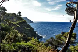 Côte sauvage et pinède plongeant dans la Méditerranée dans le Var - Zecamping