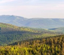 Paysages vallonnés et forêts verdoyantes dans les Vosges - Zecamping
