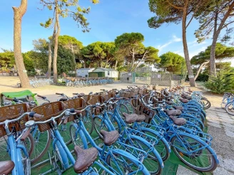 Camping Le Suroit 4* Ze collection, Camping 4* à Le Bois Plage en Ré (Charente Maritime) - Location Mobil Home pour 4 personnes - Photo N°9