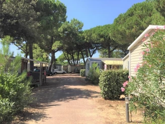 Camping Le Suroit 4* Ze collection, Camping 4* à Le Bois Plage en Ré (Charente Maritime) - Location Mobil Home pour 4 personnes - Photo N°10