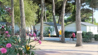 Camping Le Suroit 4* Ze collection, Camping 4* à Le Bois Plage en Ré (Charente Maritime) - Location Mobil Home pour 4 personnes - Photo N°13