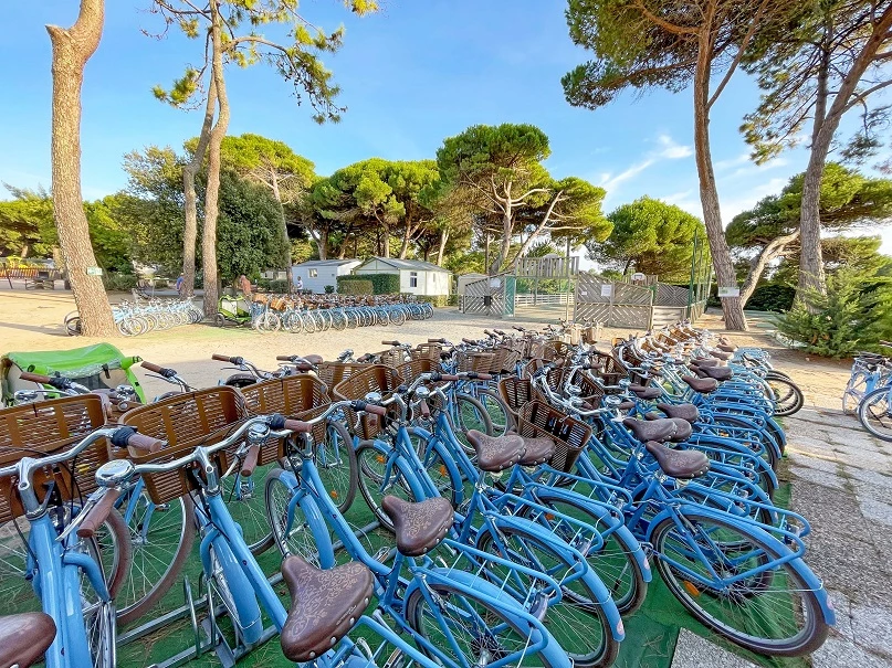 Camping Le Suroit 4* - Ze collection, Camping 4* à Le Bois Plage en Ré (Charente Maritime) - Location Mobil Home pour 4 personnes - Photo N°8