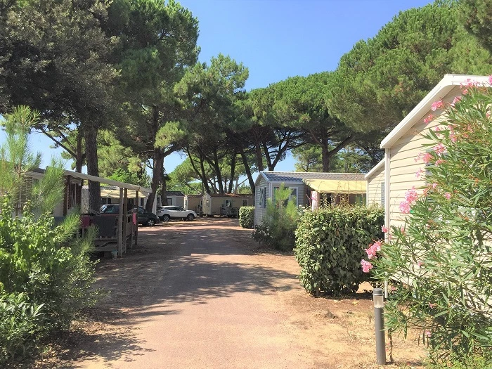 Camping Le Suroit 4* - Ze collection, Camping 4* à Le Bois Plage en Ré (Charente Maritime) - Location Mobil Home pour 4 personnes - Photo N°9