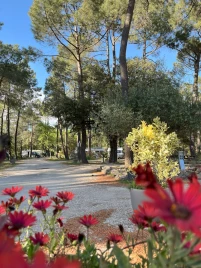 Camping La Simioune 3* , Camping 3* à Bollène (Vaucluse) - Location Mobil Home pour 4 personnes - Photo N°3