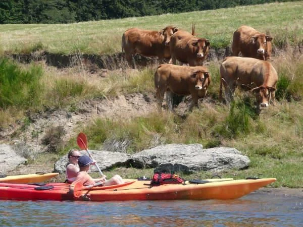  Camping Beau Rivage 4*, Camping 4* à Salles Curan (Aveyron) - Location Tente équipée pour 4 personnes - Photo N°11