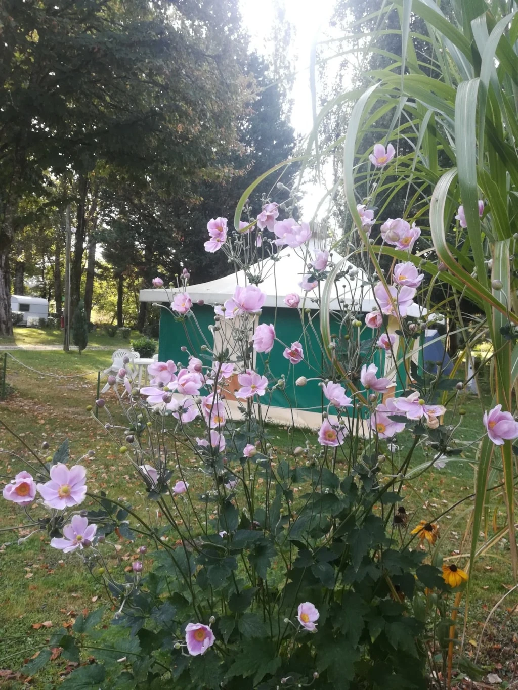 Camping d'Auberoche 3* , Camping 3* à Bassillac et Auberoche (Dordogne) - Location Tente équipée pour 4 personnes - Photo N°12