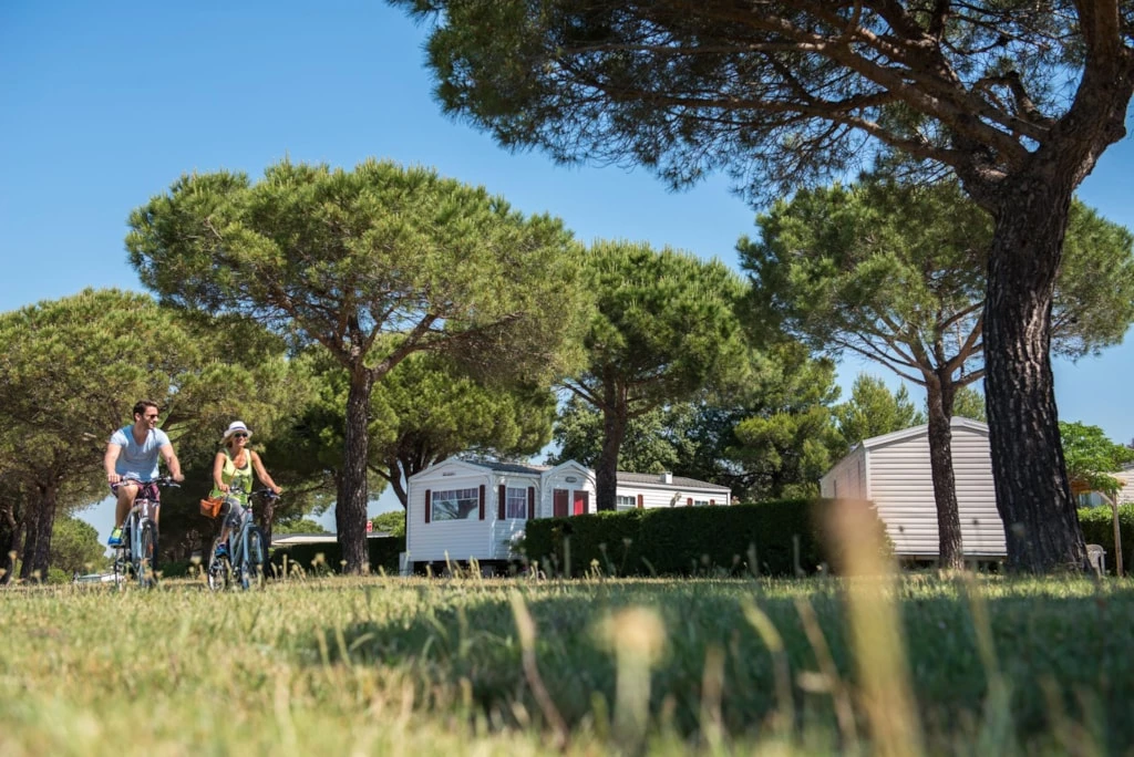 Camping Le Lac des Rêves 4*, Camping 4* à Lattes (Hérault) - Location Mobil Home pour 6 personnes - Photo N°10