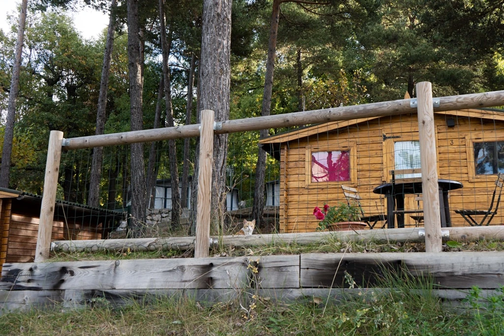 Camping Wecamp Repos de Pedraforca , Camping 4* à Saldés (Barcelone) - Location Cabane pour 3 personnes - Photo N°8
