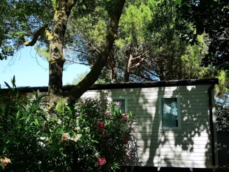 Flower Camping Le Fou du Roi - 4*, Camping 4* à Lansargues (Hérault) - Location Mobil Home pour 6 personnes - Photo N°4