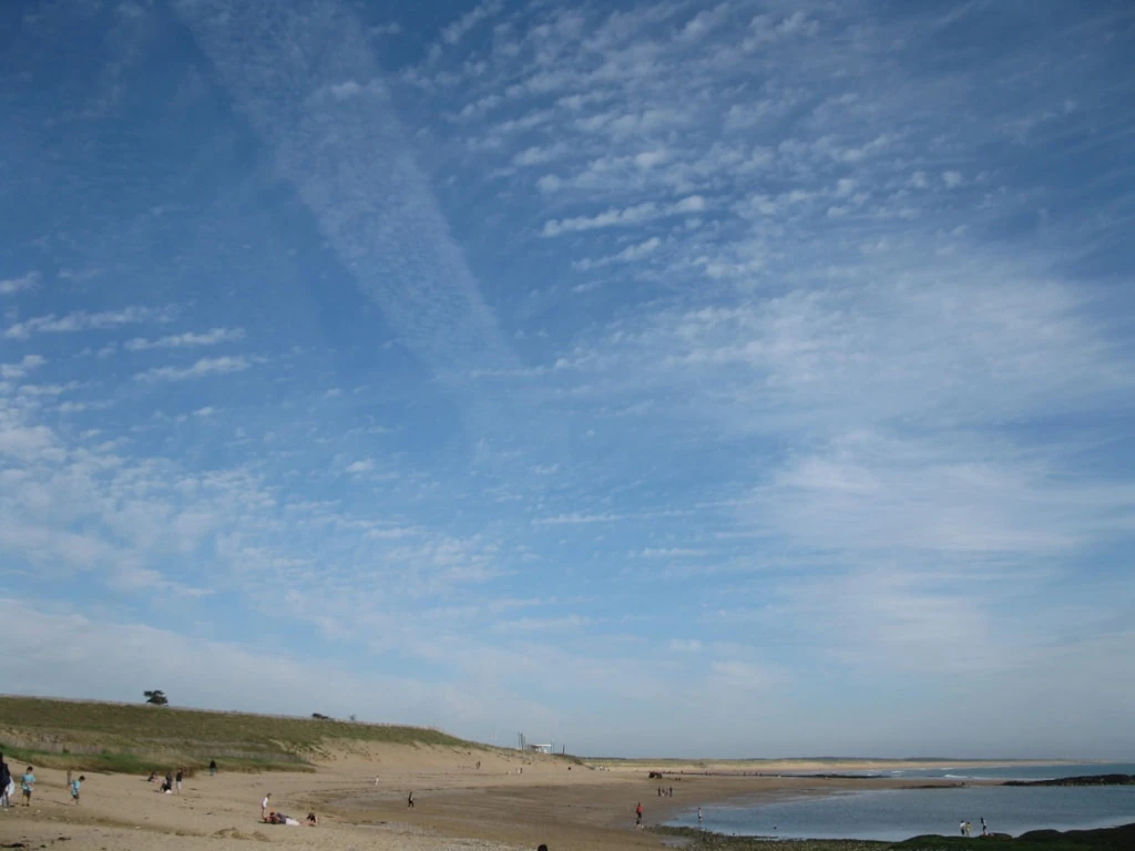 Camping Les Charmes - 4*, Camping 4* à Apremont (Vendée) - Location Chalet pour 8 personnes - Photo N°19