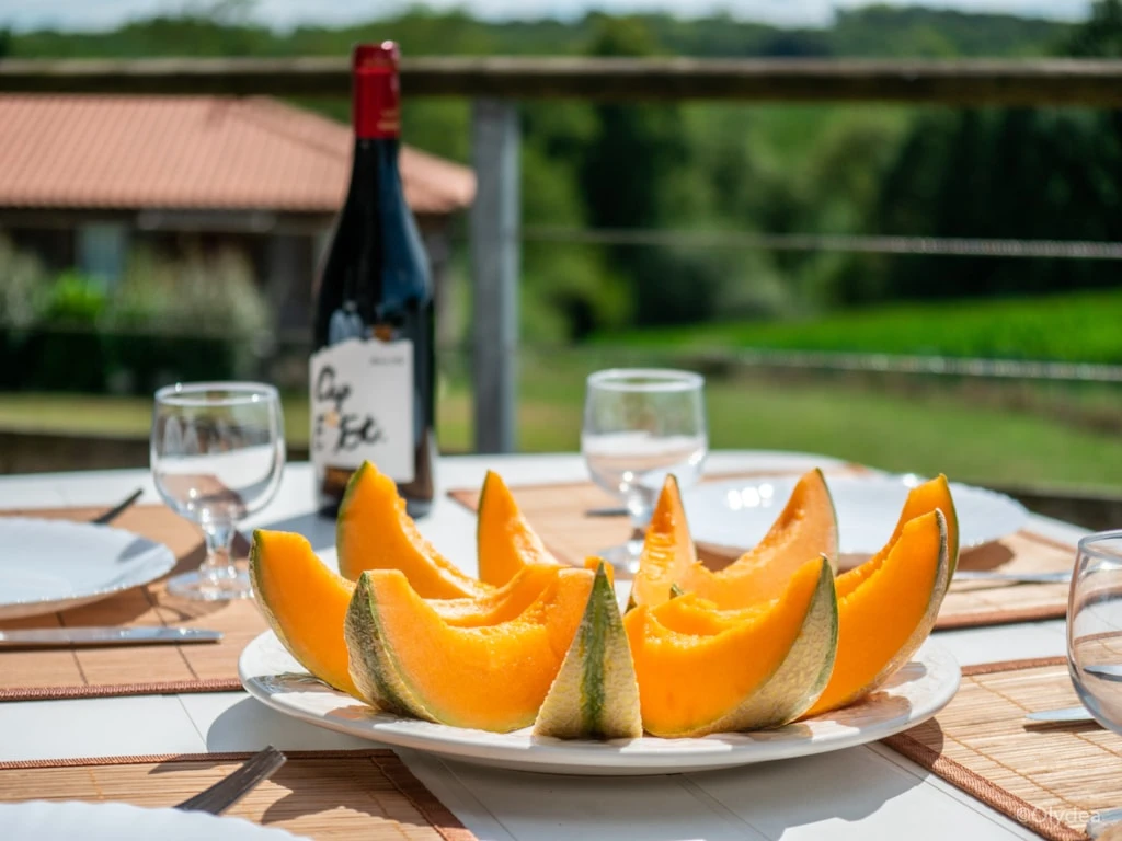 Résidence Hameaux de la Chalosse 3*, Camping 3* à Cassen (Landes) - Location Appartement pour 6 personnes - Photo N°8