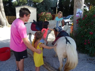 Camping Les Flamants Roses 4* Ze collection, Camping 4* à Canet en Roussillon (Pyrénées Orientales) - Location Mobil Home pour 4 personnes - Photo N°13