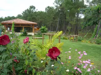 Camping Landes Océanes 4*, Camping 4* à Saint Michel Escalus (Landes) - Location Mobil Home pour 6 personnes - Photo N°1