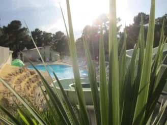 Camping La Pinède en Provence 3*, Camping 3* à Mondragon (Vaucluse) - Location Mobil Home pour 4 personnes - Photo N°9