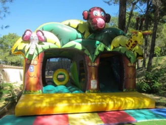 Camping La Pinède en Provence 3*, Camping 3* à Mondragon (Vaucluse) - Location Mobil Home pour 4 personnes - Photo N°10