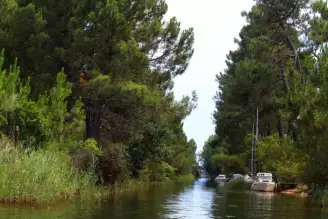 Camping Le Navarrosse 4*, Camping 4* à Biscarrosse (Landes) - Location Bungalow pour 6 personnes - Photo N°10