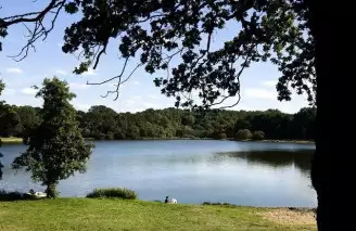 Domaine du Moulin Neuf 3* , Camping 3* à Rochefort en Terre (Morbihan) - Location Chalet pour 4 personnes - Photo N°18