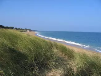 Camping La Pignade 4*, Camping 4* à Ronce les Bains (Charente Maritime) - Location Mobil Home pour 6 personnes - Photo N°18