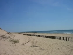 Les Hameaux des Marines 3*, Camping 3* à Saint Denis d'Oléron (Charente Maritime) - Location Chalet pour 6 personnes - Photo N°22