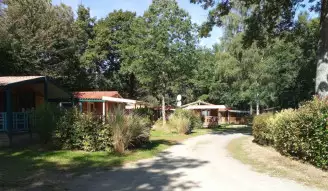 Camping OAKi 3*, Camping 3* à Mesnard la Barotière (Vendée) - Location Mobil Home pour 2 personnes - Photo N°2