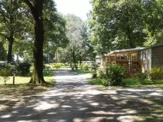 Camping OAKi 3*, Camping 3* à Mesnard la Barotière (Vendée) - Location Mobil Home pour 2 personnes - Photo N°8