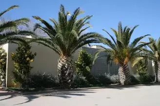 Camping Vilanova Park 4*, Camping 4* à Vilanova I la Geltru (Barcelone) - Location Bungalow pour 4 personnes - Photo N°6