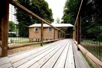 Camping Village de la Champagne, Camping à Bar sur Aube (Aube) - Location Bungalow pour 5 personnes - Photo N°4