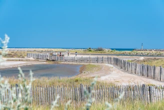 Camping La Côte des Roses 4* - Plage - Ze collection, Camping 4* à Narbonne Plage (Aude) - Location Mobil Home pour 5 personnes - Photo N°4