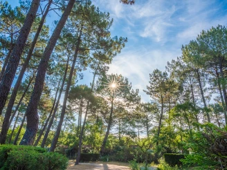 Camping Les Goélands 3* Ze collection, Camping 3* à Arès (Gironde) - Location Mobil Home pour 5 personnes - Photo N°7