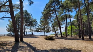 Camping Les Goélands 3* Ze collection, Camping 3* à Arès (Gironde) - Location Mobil Home pour 5 personnes - Photo N°18