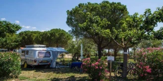 Camping Beau Rivage 4*, Camping 4* à Mèze (Hérault) - Location Mobil Home pour 4 personnes - Photo N°10