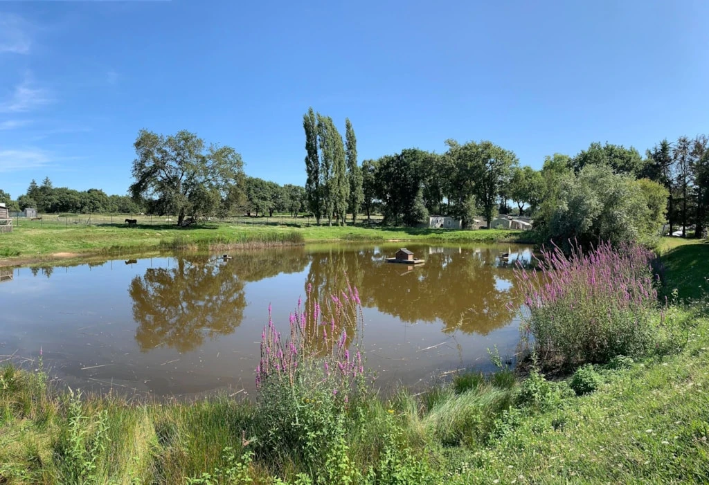 Camping L'Étang du Pays Blanc 3*, Camping 3* à Guérande (Loire Atlantique) - Location Tente équipée pour 4 personnes - Photo N°14