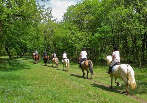 Domaine des Grands Pins 4*, Camping 4* à Tamniès (Dordogne) - Location Chalet pour 6 personnes - Photo N°11
